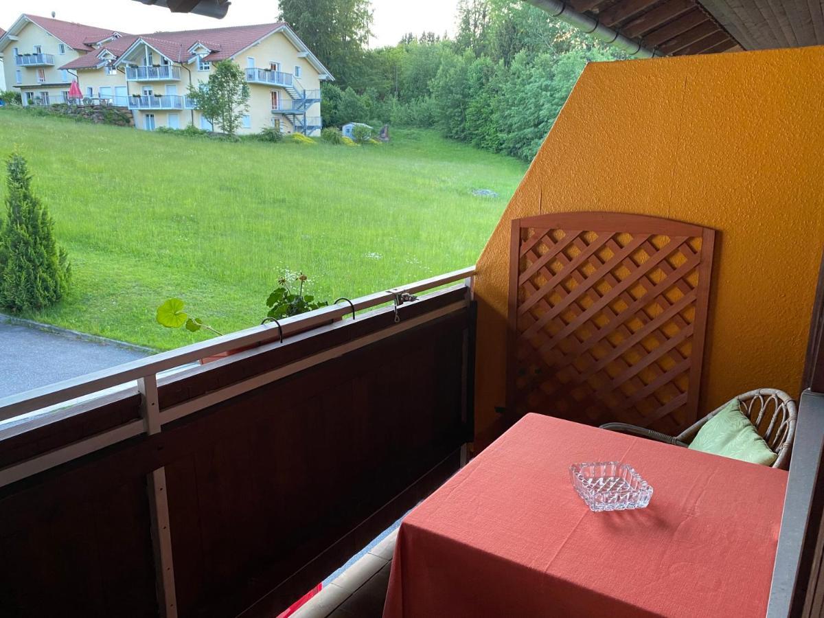Pension Waldblick Шпіґелау Екстер'єр фото