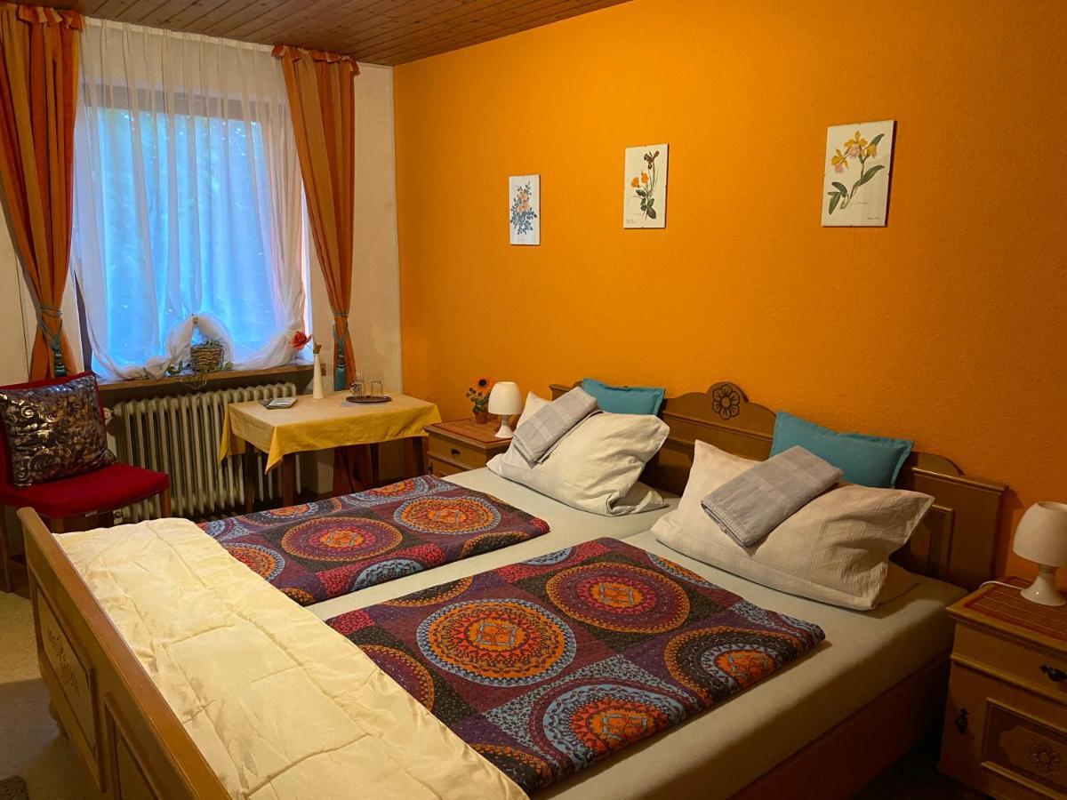 Pension Waldblick Шпіґелау Екстер'єр фото