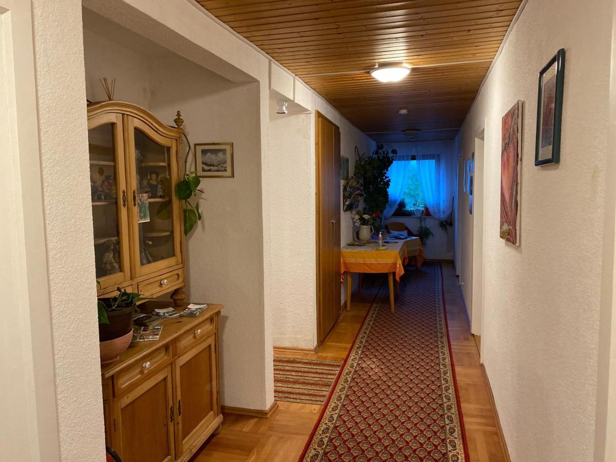 Pension Waldblick Шпіґелау Екстер'єр фото