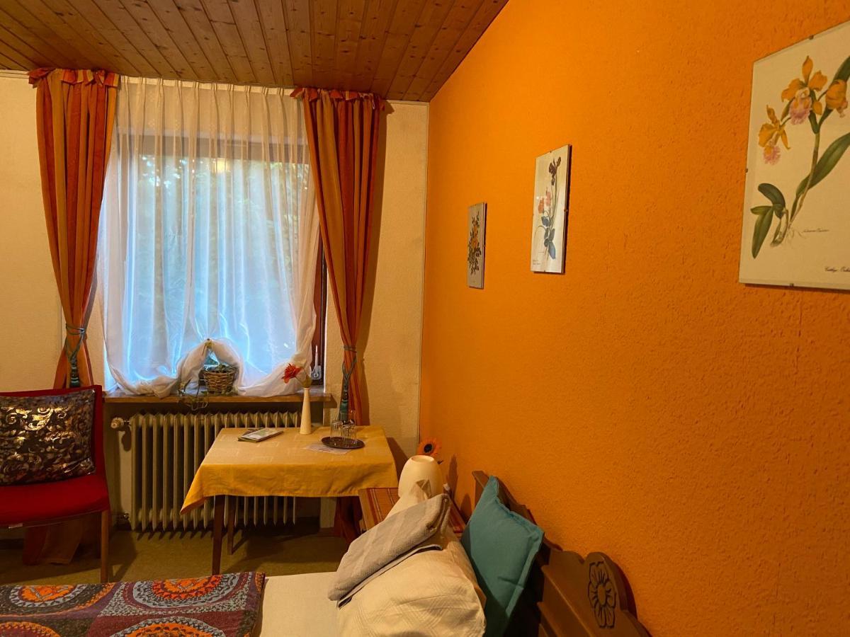 Pension Waldblick Шпіґелау Екстер'єр фото