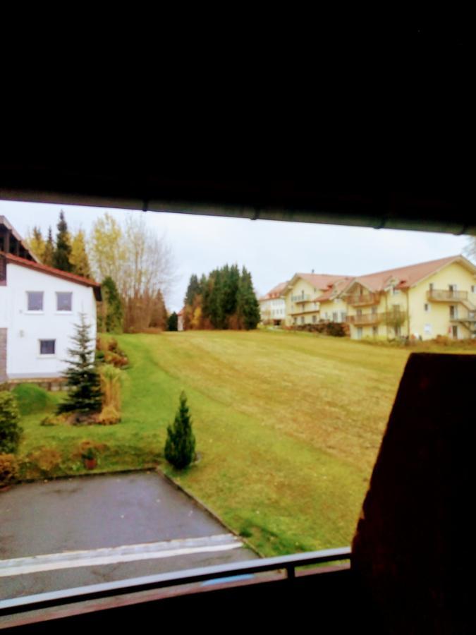Pension Waldblick Шпіґелау Екстер'єр фото