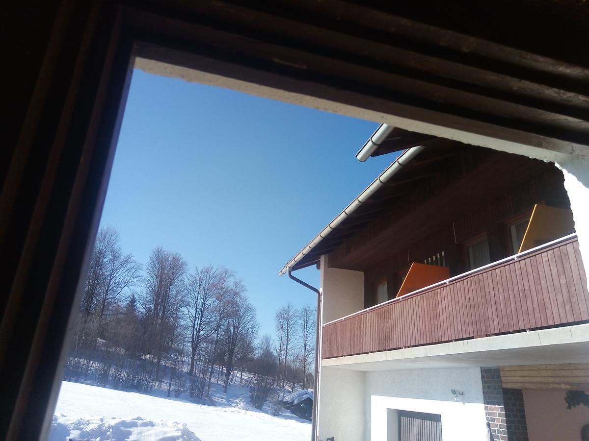 Pension Waldblick Шпіґелау Екстер'єр фото