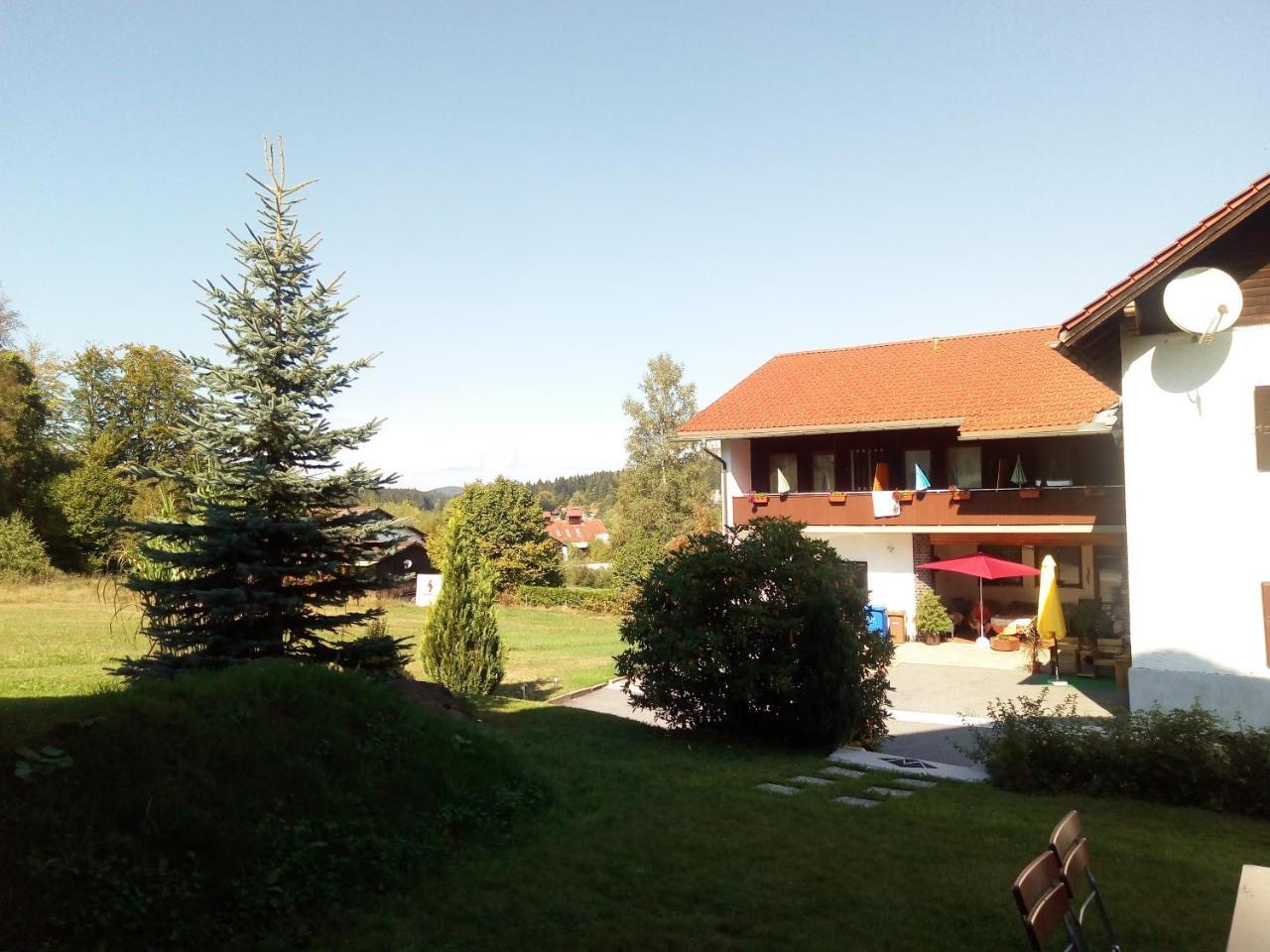 Pension Waldblick Шпіґелау Екстер'єр фото